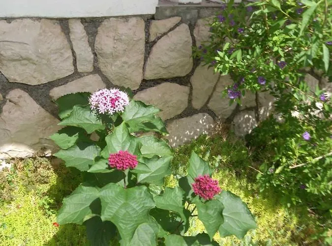 Katica Appartamento *