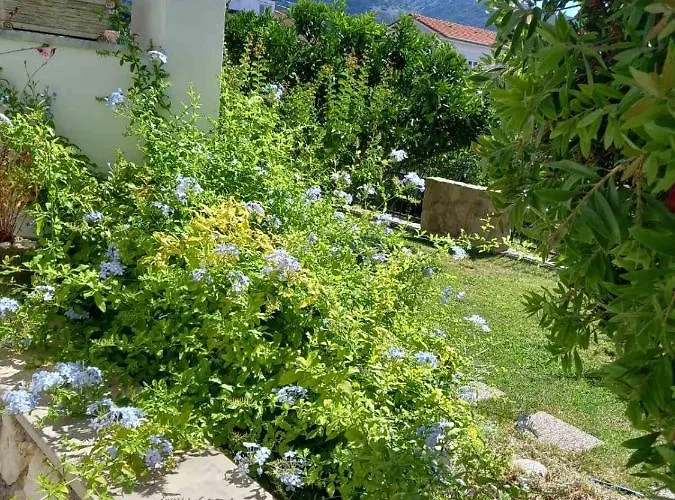 Apartamento Katica Banjol