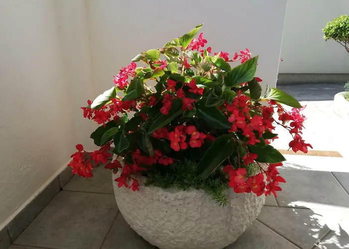 Appartamento Katica *