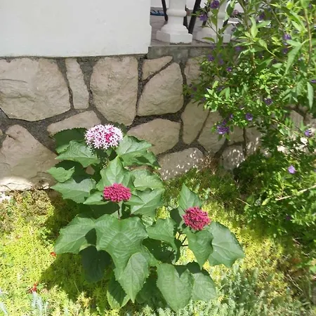 Katica Apartament *