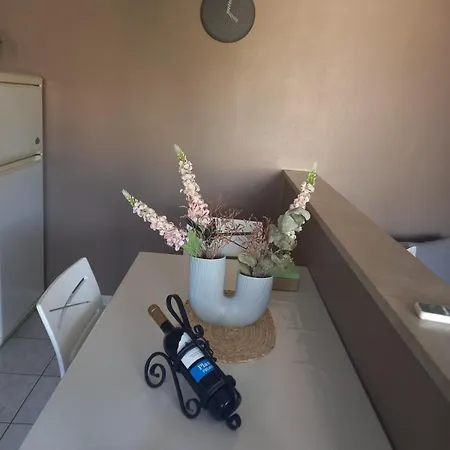 Katica