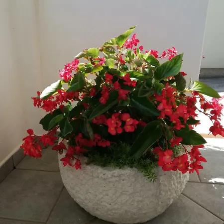 Appartement Katica *